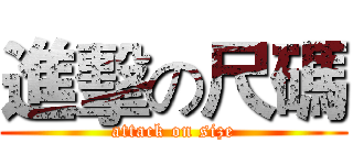 進擊の尺碼 (attack on size)
