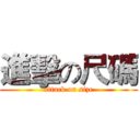 進擊の尺碼 (attack on size)