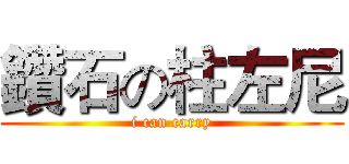 鑽石の柱左尼 (i can carry)
