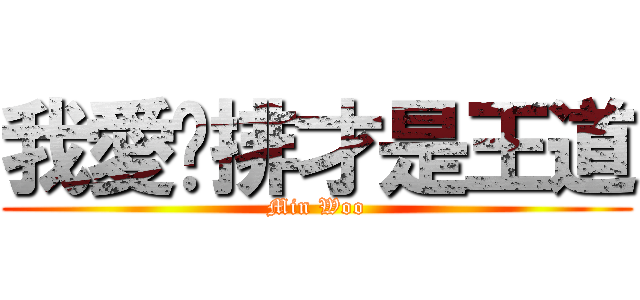 我愛雞排才是王道 (Min Woo)