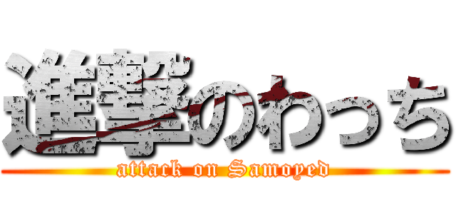 進撃のわっち (attack on Samoyed)