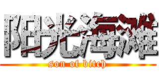 阳光海滩 (son of bitch)