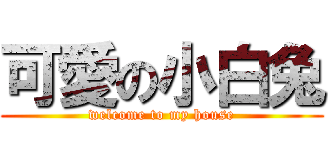 可愛の小白兔 (welcome to my house)