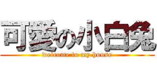 可愛の小白兔 (welcome to my house)