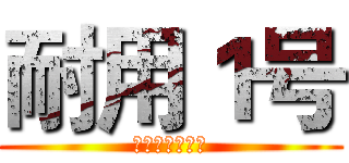 耐用１号 (精挑细选性价王)