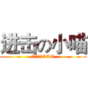 进击の小喵 (窝是小喵！OAO)