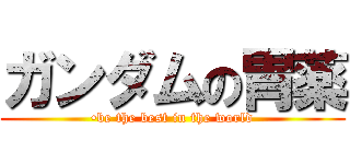 ガンダムの胃薬 (•be the best in the world)
