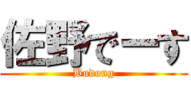 佐野でーす (Budong)