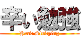 辛い勉強 (Hard Studying)