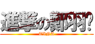 進撃の鄭羽彤 (TINA)