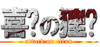 喜憨の狸貓 (attack on titan)