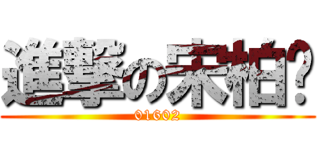 進撃の宋柏澔 (01602)