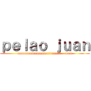 ｐｅｌａｏ ｊｕａｎ (sssssssssssssssssiiiiiiiiiiii    wum)