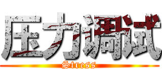 压力调试 (Stress)