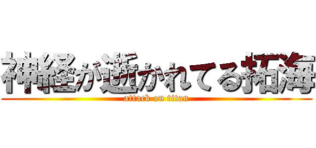 神経が逝かれてる拓海 (attack on titan)