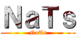 ＮａＴｓ (NaTs)