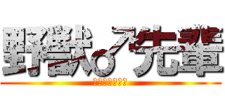 野獣♂先輩 (アッーーーーー)