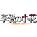 享受の小花 (1124)