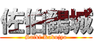 佐伯鶴城 (Saiki Kakujyo)