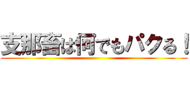 支那畜は何でもパクる！ ()