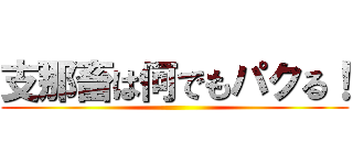 支那畜は何でもパクる！ ()