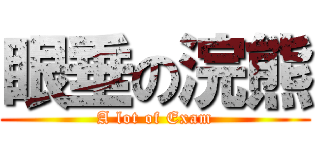 眼垂の浣熊 (A lot of Exam)