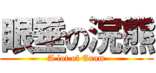 眼垂の浣熊 (A lot of Exam)