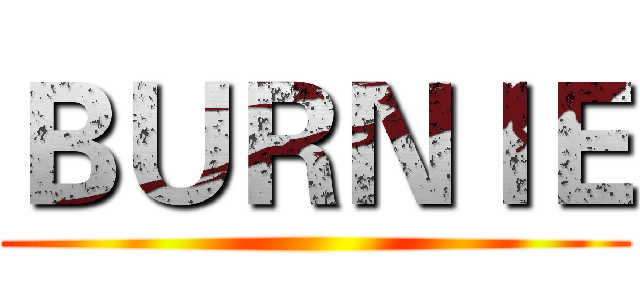 ＢＵＲＮＩＥ ()
