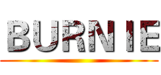 ＢＵＲＮＩＥ ()