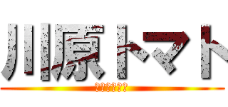 川原トマト (オールトマト)