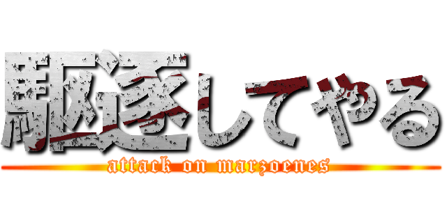 駆逐してやる (attack on marzoenes)
