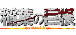 稲葉の巨根 (penis of big)