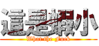 這是蝦小 (What the Fuck)