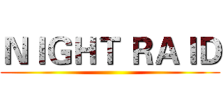 ＮＩＧＨＴ ＲＡＩＤ ()