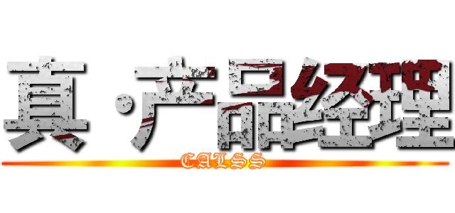 真·产品经理 (CALSS)
