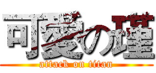 可愛の瑾 (attack on titan)