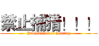 禁止捕猎！！！ (Prohibition of hunting)