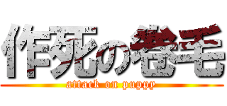 作死の卷毛 (attack on puppy)