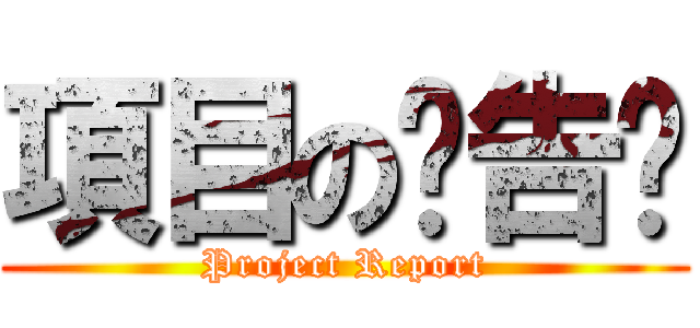 項目の报告书 (Project Report)