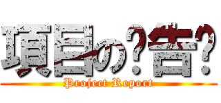 項目の报告书 (Project Report)