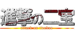 進撃の二宝 (attack on twobao)