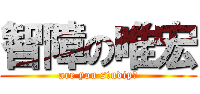 智障の唯宏 (are you studip?)