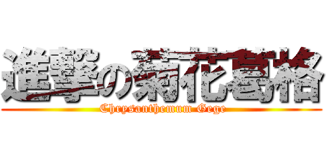 進撃の菊花葛格 ( Chrysanthemum Gege)