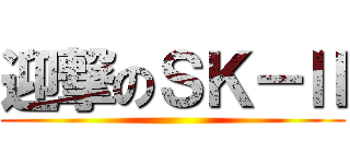 迎撃のＳＫ－Ⅱ ()
