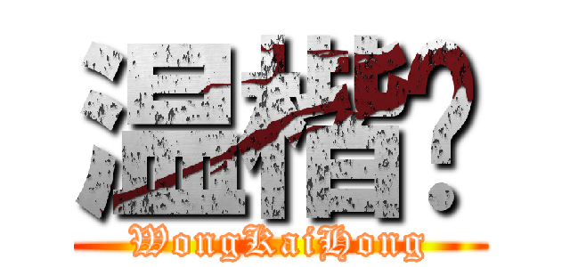 温楷鸿 (WongKaiHong)