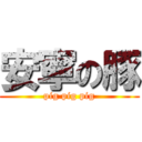 安寧の豚 (pig pig pig)