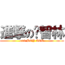 進撃の黃智林 (on9 BOY ACE)