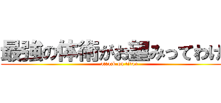 最強の体術がお望みってわけね (attack on titan)