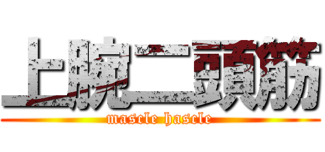 上腕二頭筋 (mascle hascle)