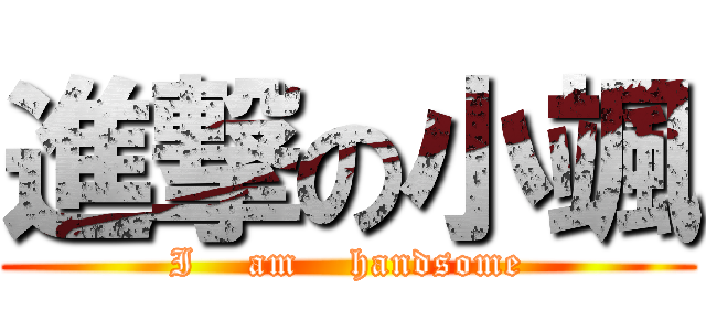 進撃の小颯 (I    am    handsome)